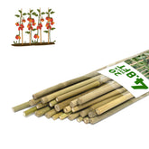 WDZZHOT plant stakes provide sturdy bamboo garden support for plants.
