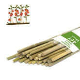 WDZZHOT bamboo plant stakes provide sturdy support for climbing plants