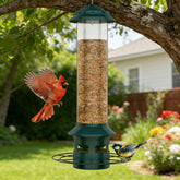 WeeFeetc metal squirrel-proof feeder, front view outdoors, showing sturdy construction and seed access.