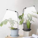 WeeLeeGoo Grow Light 2-Pack front view over compact plants supports indoor growth