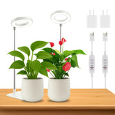 WeeLeeGoo grow light base assembly for a stable indoor setup.