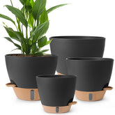 Weichengxing 12-inch self-watering pot keeps indoor plants hydrated.