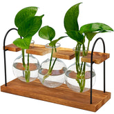 Wellinc plant terrarium with wooden stand as a stylish indoor centerpiece