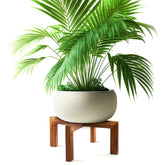 Wenqik wood plant stand 16-inch platform view, sturdy mid-century display for plants