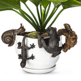 Weysat frog planter hugger with bronze finish on a pot edge for charm