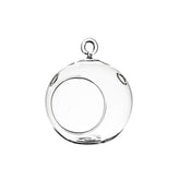 WGVI Hanging Terrarium Globe, 3x4 inch, stylish windowsill display