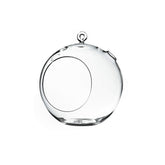 WGVI hanging terrarium globe, 8-inch wide, ideal for windowsill displays.