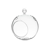 WGVI hanging terrarium globe with clear glass, ideal 6-inch display for succulents