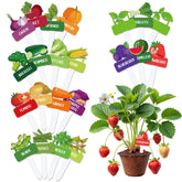 Whaline 22Pcs acrylic plant label broccoli cartoon for easy garden tagging