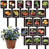Whaline watercolor lettuce marker for quick plant ID in pots and beds
