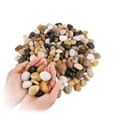 WHANLEY L&Q natural river rocks glossy 1-2 inch pebbles for stylish indoor décor