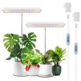 Wiaxulay grow light panel delivering full-spectrum illumination for indoor plants