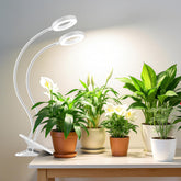 Wiaxulay halo grow light clip-2head provides adjustable, efficient lighting for indoor plants.