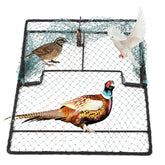 WillMesh humane pigeon trap with open 15-7x19 inch design for safe captures