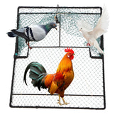 WillMesh humane pigeon trap front view showing spacious 19.7 by 23.6 inch design for safe capture