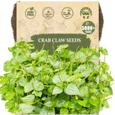 Wily Fox Crab Claw seeds pack foil-sealed for fresh planting