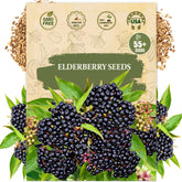 Wily Fox elderberry seeds packaging in a resealable pouch for storage