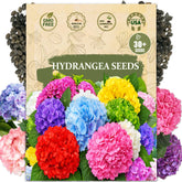 Wily Fox Hydrangea seeds pack shot, ideal starter for home gardens.
