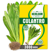 Wily Fox Premium Culantro Seeds pack shot showing abundant supply for steady harvests.