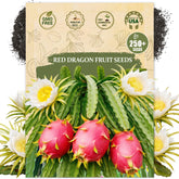 Wily Fox premium dragon fruit seeds packet for easy home planting.