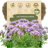 Wily Fox Premium Lacy Phacelia seeds create soft foliage and blue blooms for garden beds.