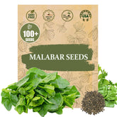 Wily Fox Premium Malabar Spinach Seeds pack ready for warm-season planting.