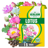 Wily Fox rare lotus seeds pre-cut shells for quick germination