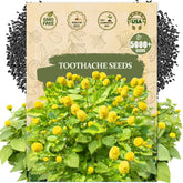 Wily Fox toothache plant seeds packet ready for planting in pots and borders.