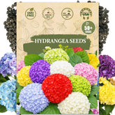 Wily Fox hydrangea seeds 50-pack ready for seed-start gardening and early blooms
