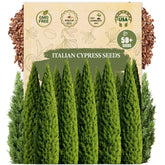 Wily Fox premium Italian Cypress seeds pack for outdoor privacy hedge.