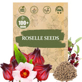 Wily Fox Premium Roselle Seeds pack ready for planting and a vibrant harvest.