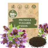 Wily Fox prunella seeds pack ready for home planting and easy growth.