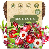 Wily Fox Roselle seeds pack for a bountiful home garden harvest.