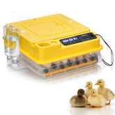 Winado 30-egg incubator interior view showing batch capacity for hatching.