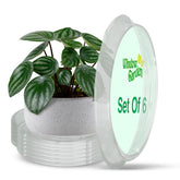 Window Garden clear plant saucer for indoor use catches excess water