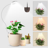 Wolezek 2in1 grow light clamped on pot for flexible indoor plant lighting.