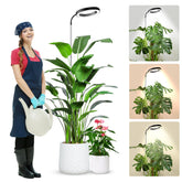 Wolezek Grow Lights with 65-inch tall design for stable indoor plant setup