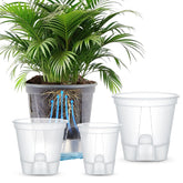 Wonderjune self-watering pot with deep reservoir for steady root hydration