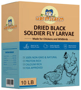 WormsFarm dried BSF larvae chicken snack showing calcium-rich goodness.