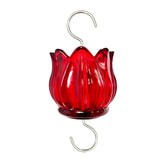 WOWARE real glass ant moat on hummingbird feeder deters ants and preserves nectar