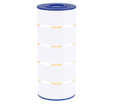Wowreed pool filter SwimClear C150S assembly view for quick installation