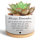 WSLCHOVE cute succulent pot with wood tray for desk decor and gifts.