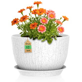 WSMKSZ 12-inch water ripples pot, front view, ideal for indoor decor and plant display