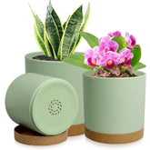 WSMKSZ 3-pack cylindrical pot 4in elevates indoor plant displays with Nordic-inspired design