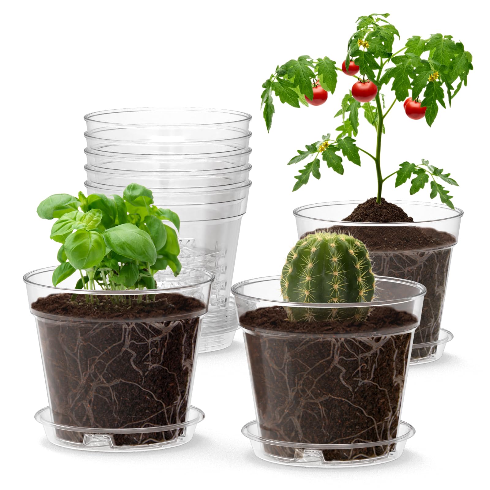 WSMKSZ 4-inch clear nursery pot showing transparency for seedling monitoring and moisture control