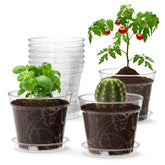 WSMKSZ 4-inch clear nursery pot showing transparency for seedling monitoring and moisture control