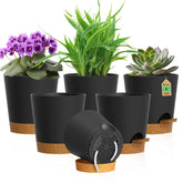 WSMKSZ 4-inch self-watering pot, front view, ideal for tidy indoor displays.