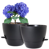 WSMKSZ 8-inch self-watering pot in a twin-pack for easy indoor gardening