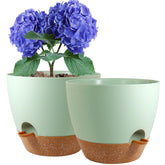 WSMKSZ 8-inch self-watering pot pair for steady moisture in indoor gardens