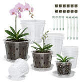 Wyegey 12-pack clear orchid pots in 4-6 inch sizes for easy repotting and moisture tracking.